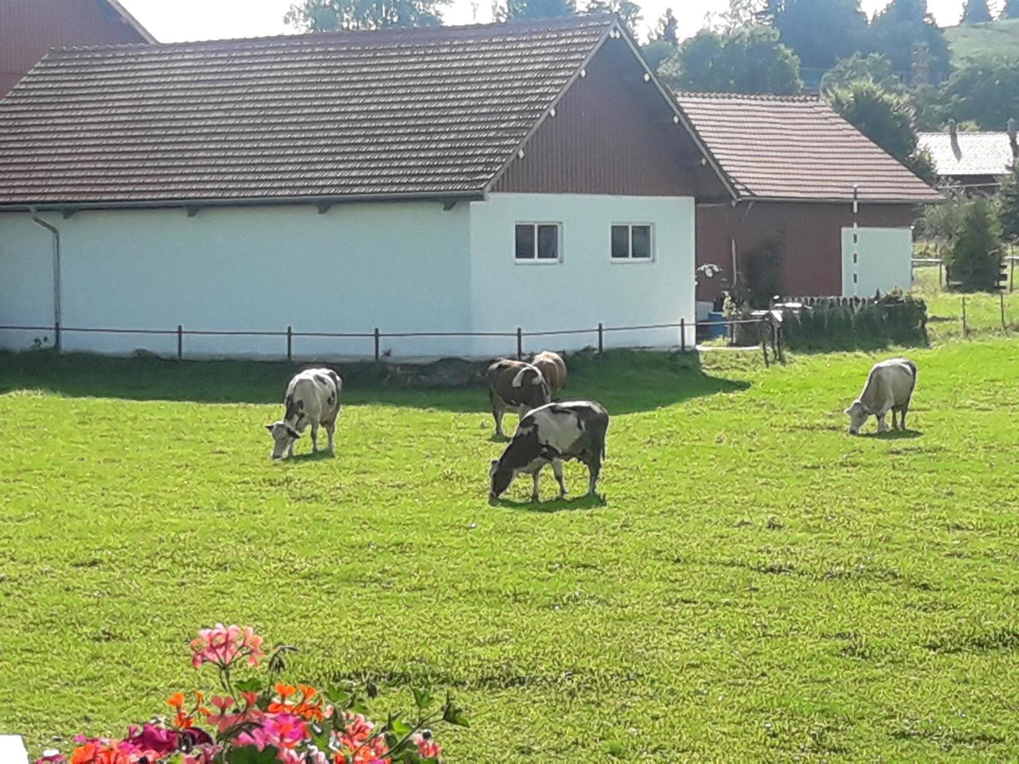 Gästehaus Reisacher - Einzelzimmer Peiting Exterior foto